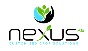 Nexus logo