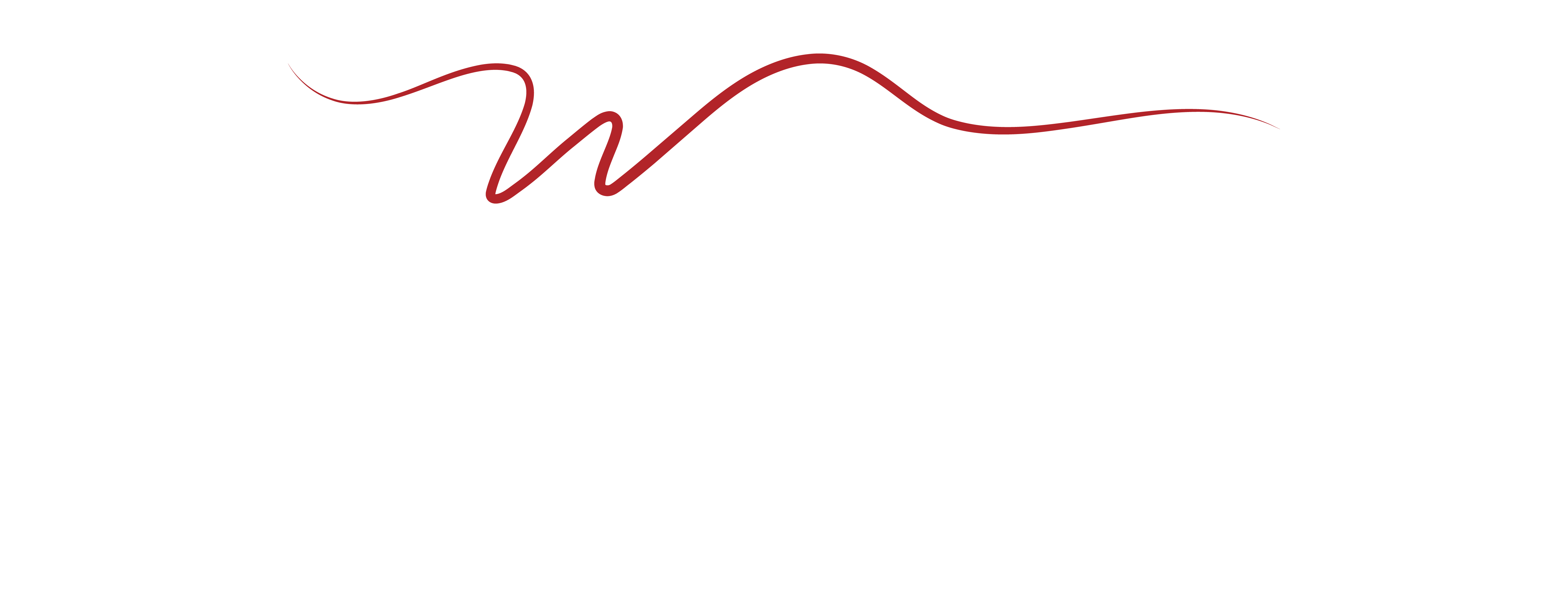 Winetrans Logistics logo